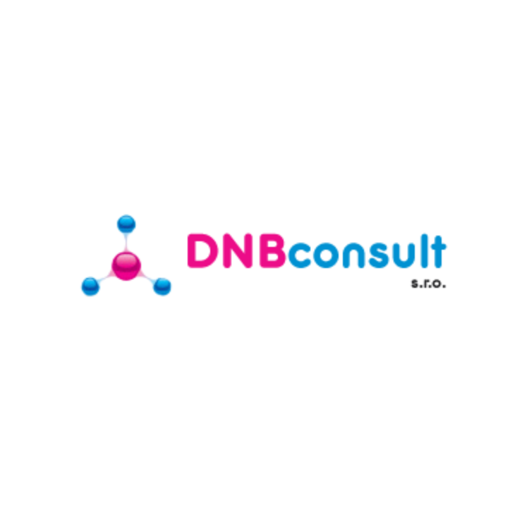 dnb-consult